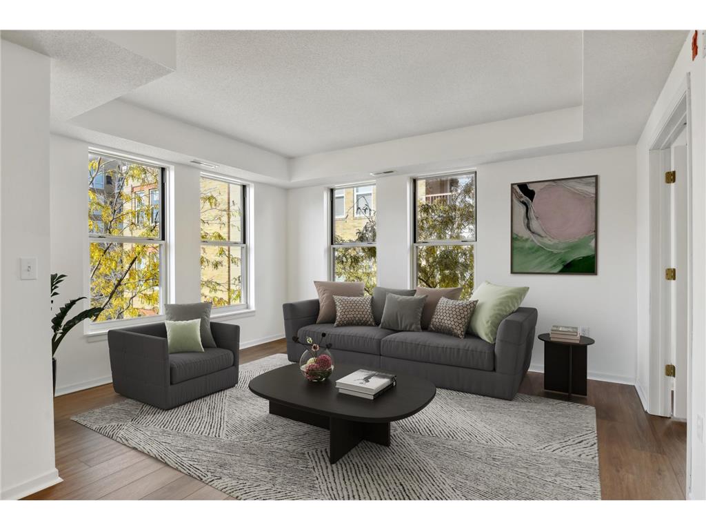 660 N 2nd Street #307 Minneapolis MN 55401 6305179 image1