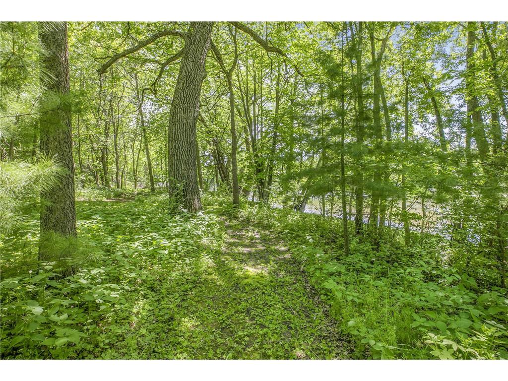 6600 Canary Road NW Langola Twp MN 56373 - Mississippi 7078056 image53