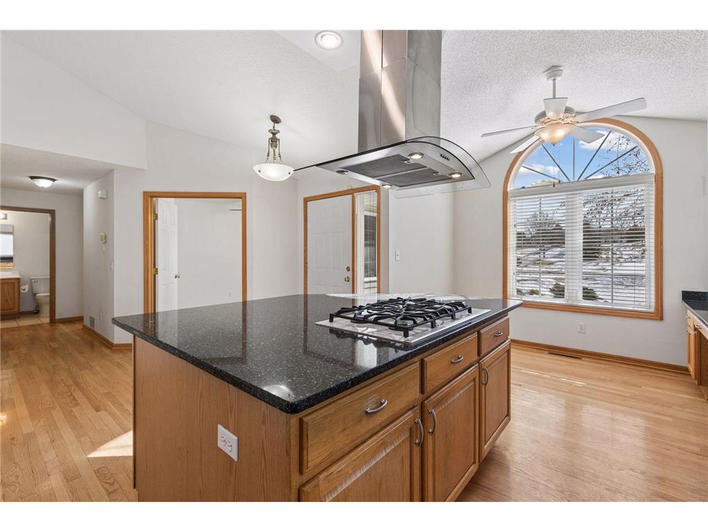 6604 Chadwick Drive Savage MN 55378 7022661 image12