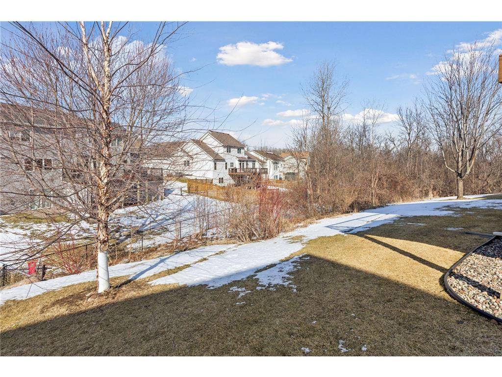 6604 Chadwick Drive Savage MN 55378 7022661 image44