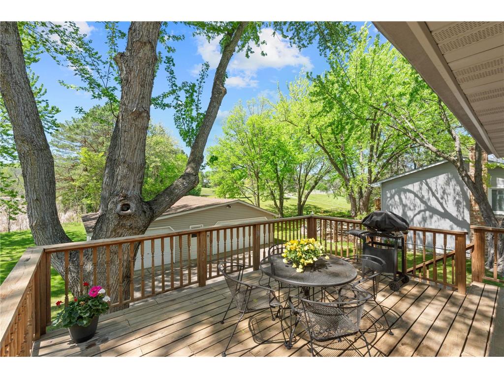 6605 Chesshire Lane N Maple Grove MN 55311 7047174 image23