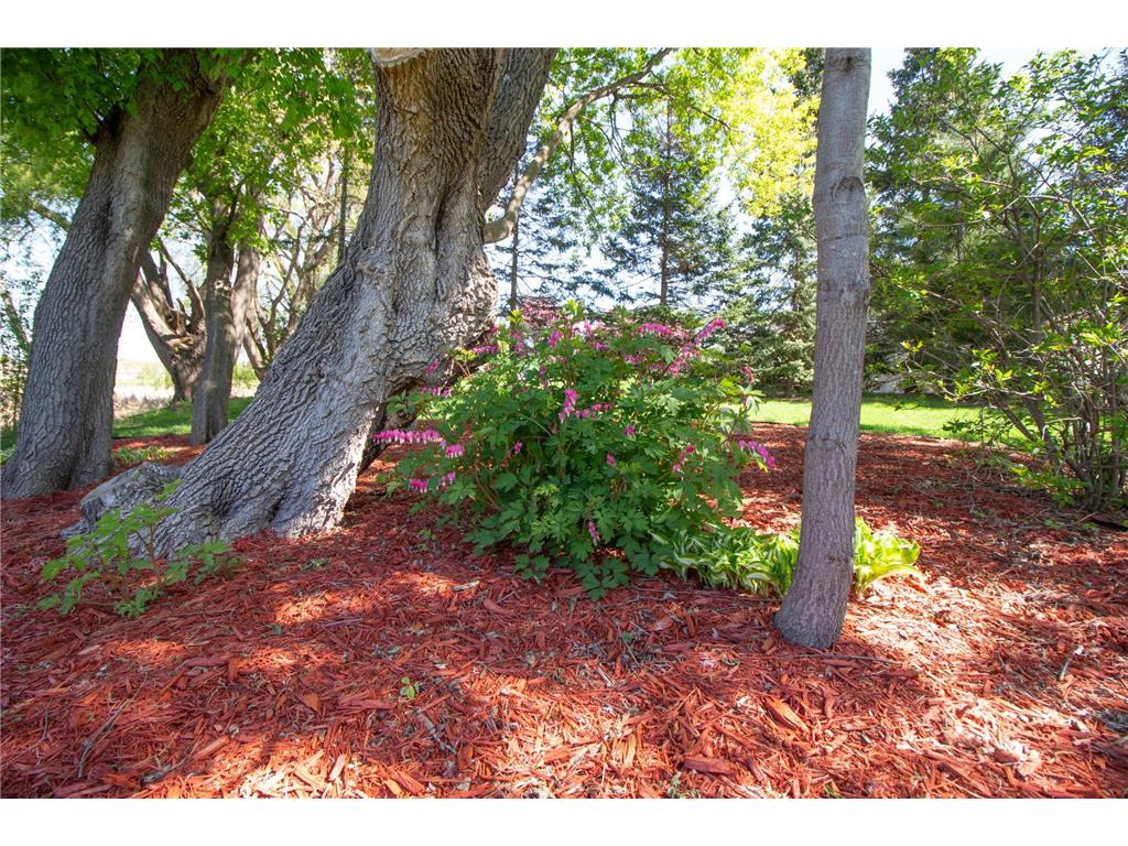 6612 210th Lane N Forest Lake MN 55025 7070705 image30