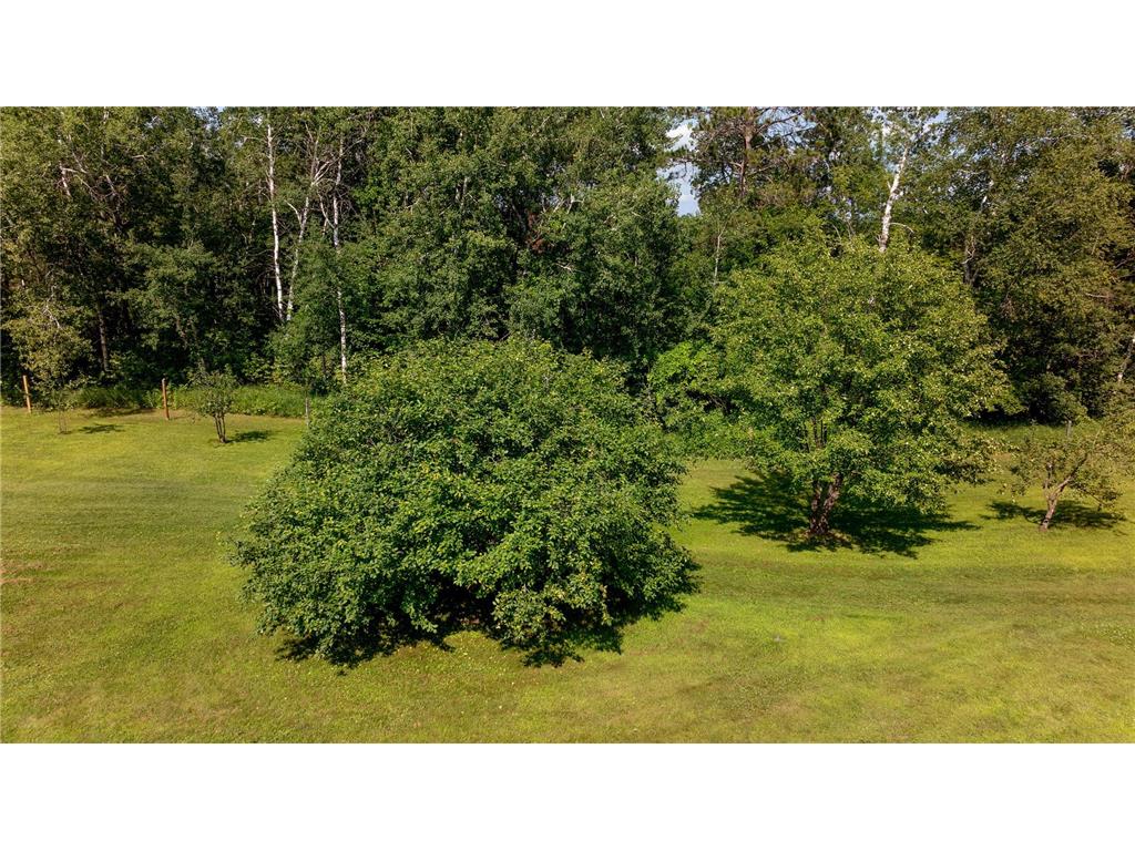 6613 County Road 125 NE Longville MN 56655 7084107 image22