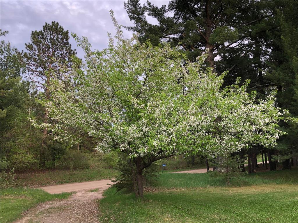 6613 County Road 125 NE Longville MN 56655 7084107 image26