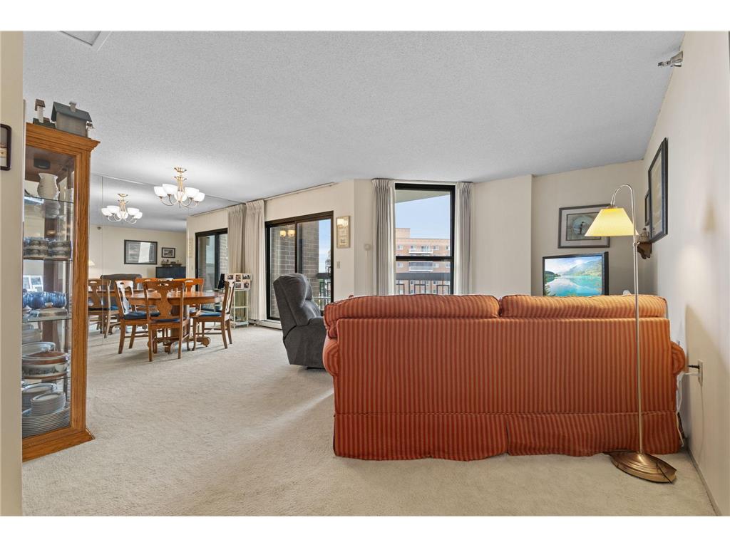 6615 Lake Shore Drive S #1009 Richfield MN 55423 - Wood 7095425 image10