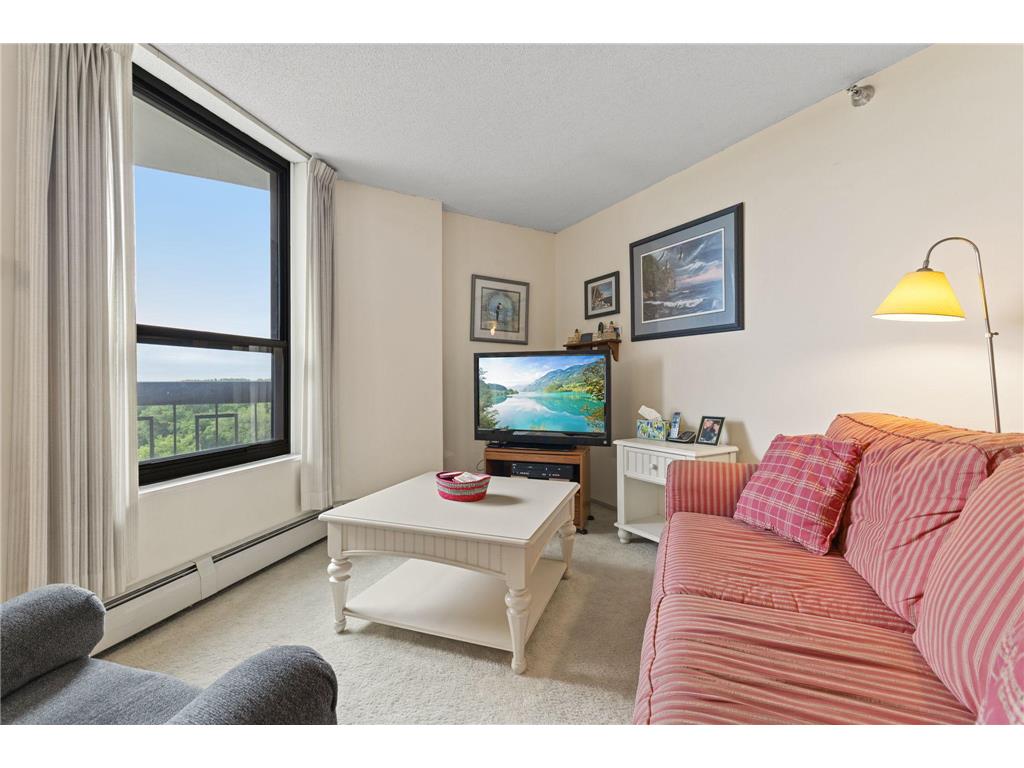 6615 Lake Shore Drive S #1009 Richfield MN 55423 - Wood 7095425 image11