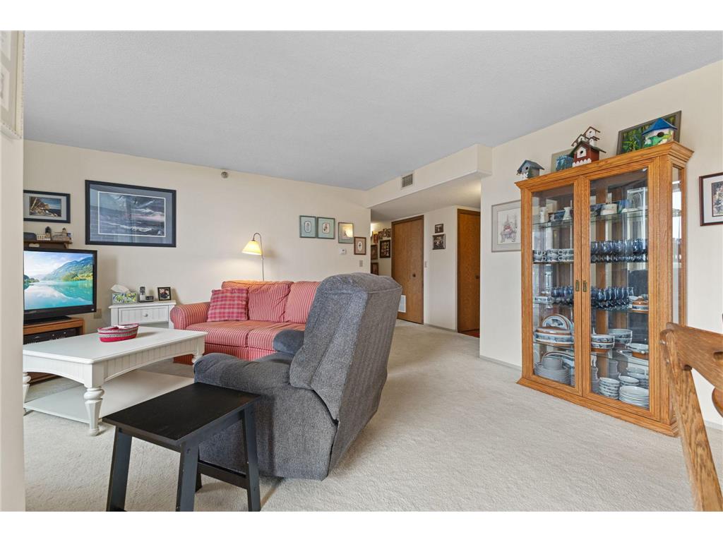6615 Lake Shore Drive S #1009 Richfield MN 55423 - Wood 7095425 image12