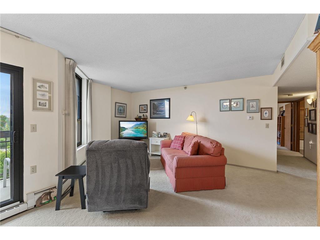 6615 Lake Shore Drive S #1009 Richfield MN 55423 - Wood 7095425 image14