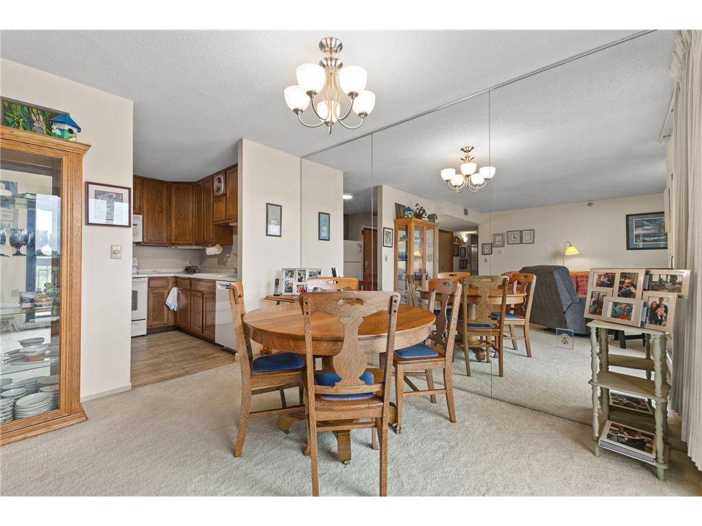 6615 Lake Shore Drive S #1009 Richfield MN 55423 - Wood 7095425 image16