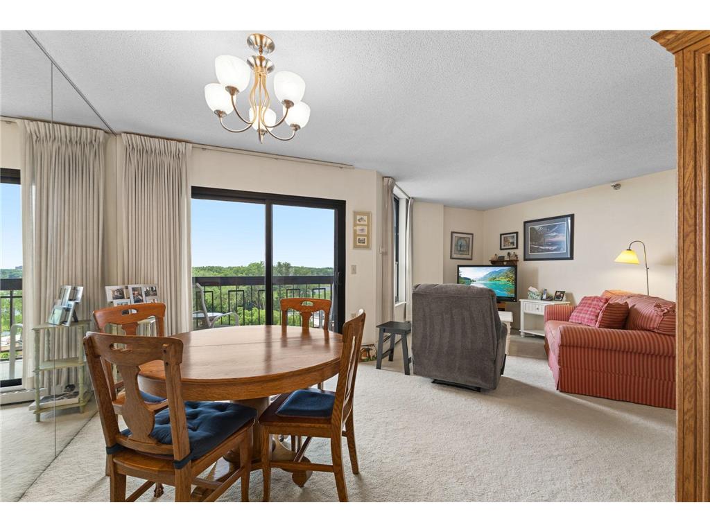 6615 Lake Shore Drive S #1009 Richfield MN 55423 - Wood 7095425 image17