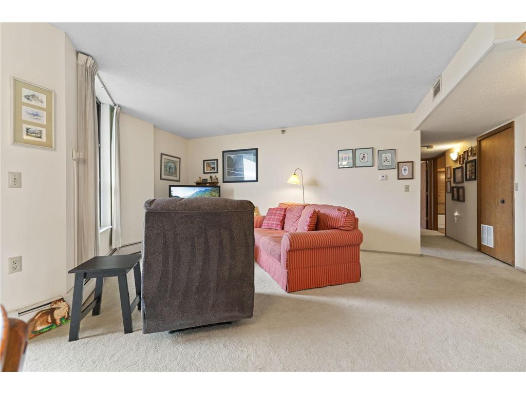 6615 Lake Shore Drive S #1009 Richfield MN 55423 - Wood 7095425 image5