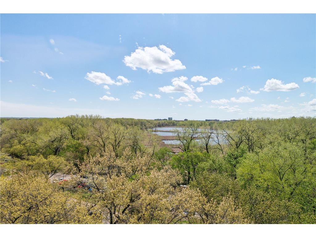 6615 Lake Shore Drive S 1017, Richfield, MN, 55423 MLS 6528559