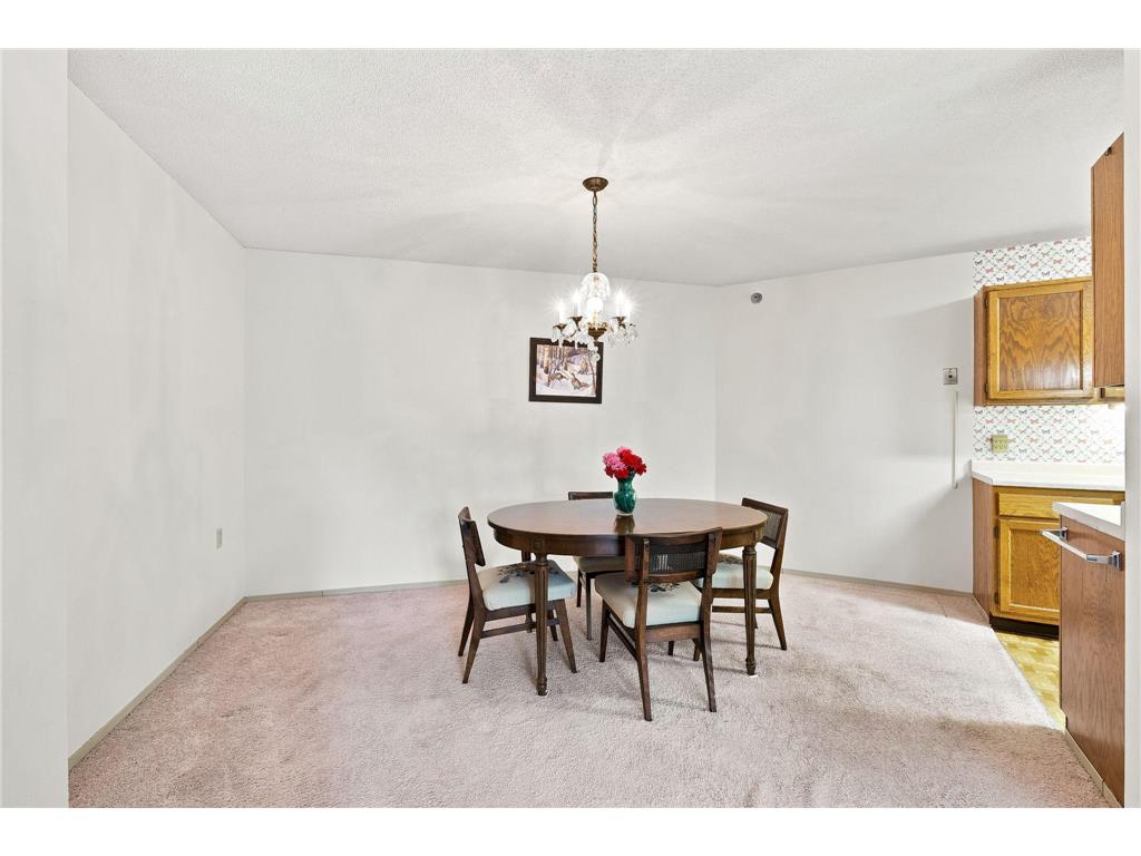 6615 Lake Shore Drive S #405 Richfield MN 55423 7107030 image13