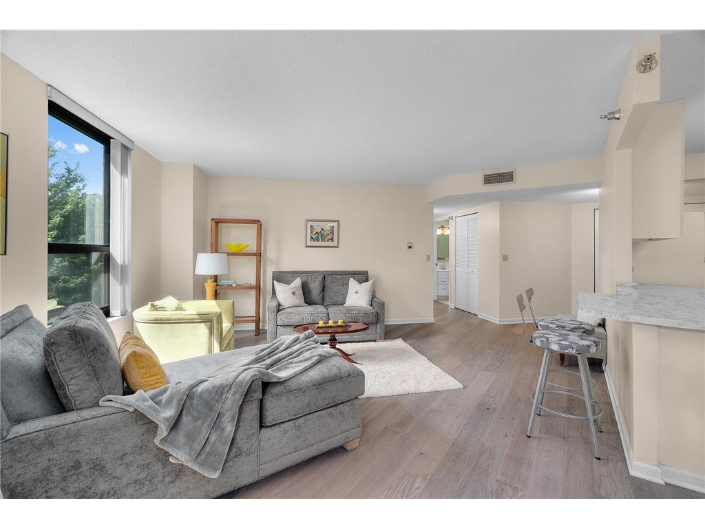 6615 Lake Shore Drive S #517 Richfield MN 55423 6788656 image10