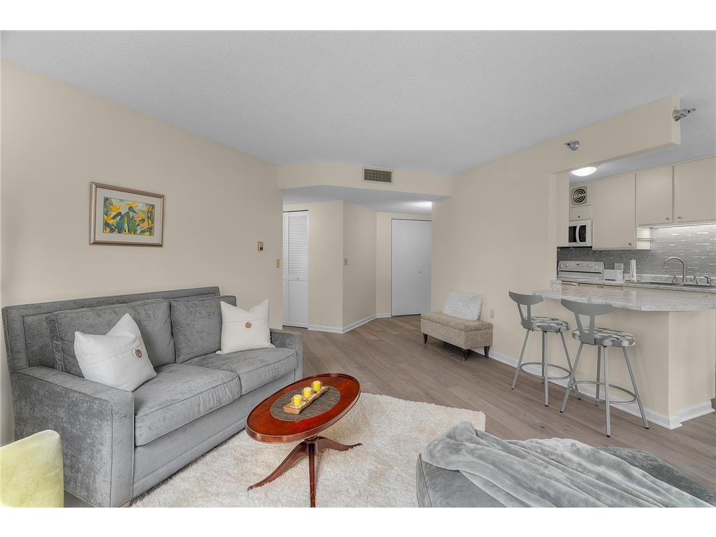 6615 Lake Shore Drive S #517 Richfield MN 55423 6788656 image11