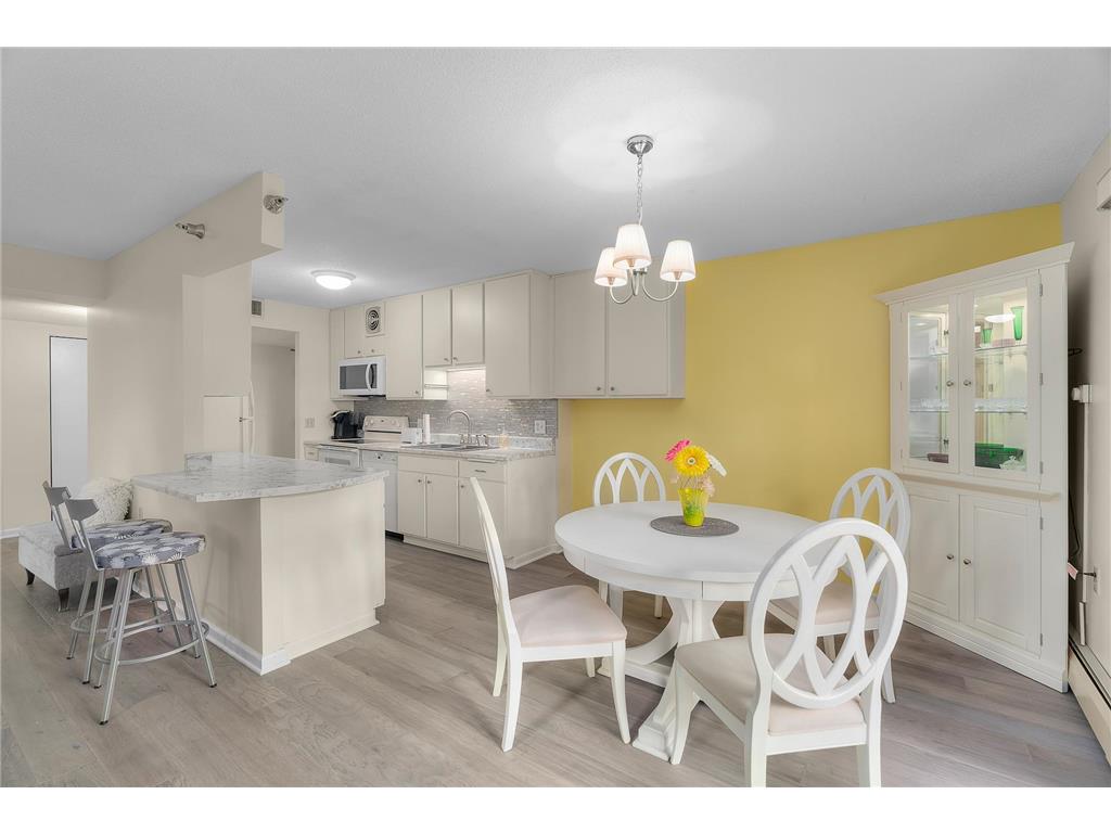 6615 Lake Shore Drive S #517 Richfield MN 55423 6788656 image7