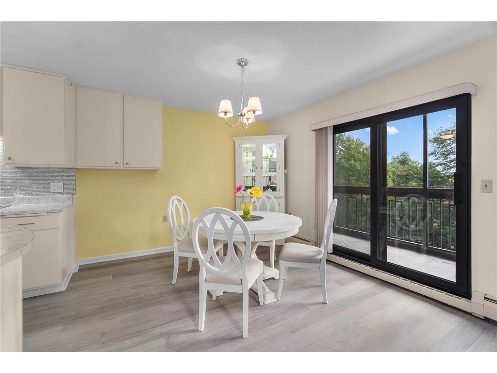 6615 Lake Shore Drive S #517 Richfield MN 55423 6788656 image8