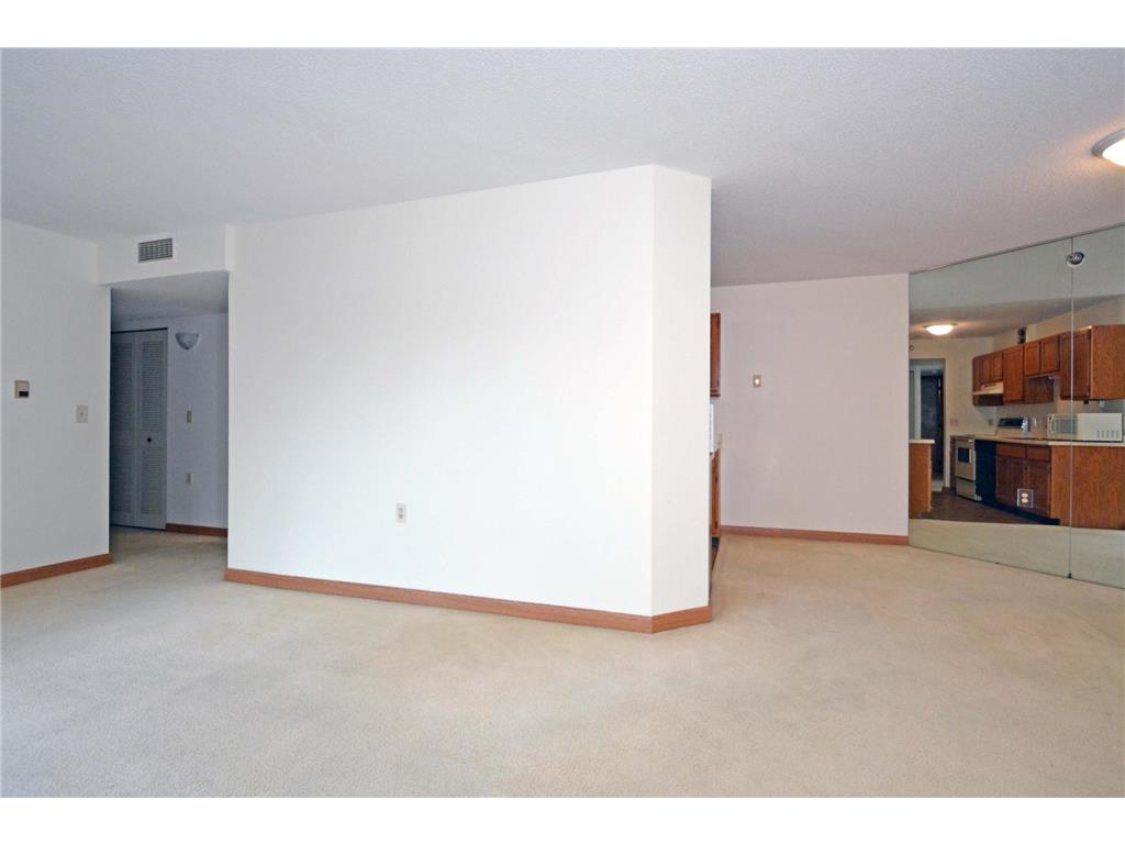 6615 Lake Shore Drive S #603 Richfield MN 55423 6777271 image10