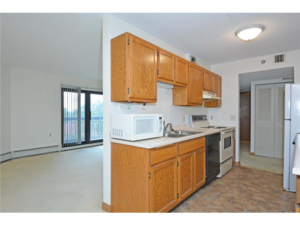 6615 Lake Shore Drive S #603 Richfield MN 55423 6777271 image13