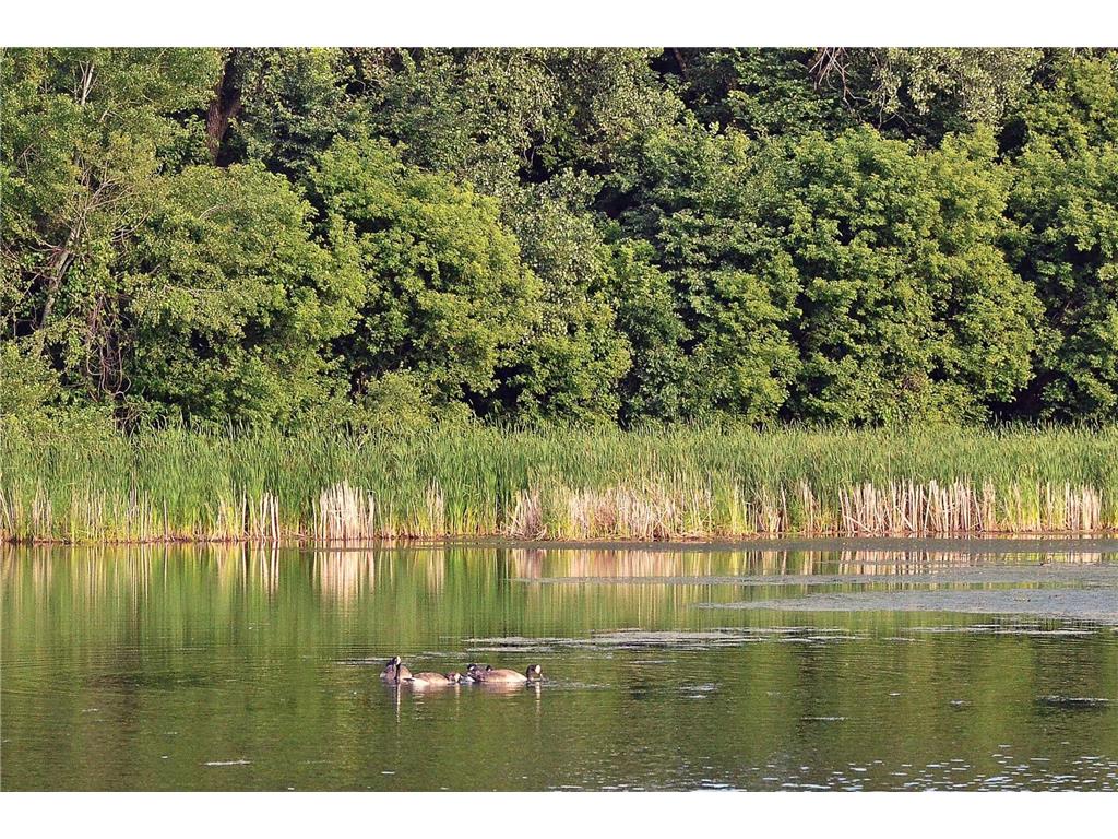 6615 Lake Shore Drive S #603 Richfield MN 55423 6777271 image35