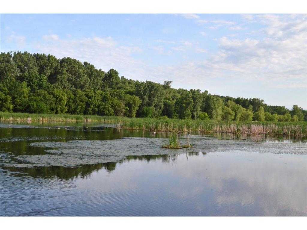 6615 Lake Shore Drive S #603 Richfield MN 55423 6777271 image36