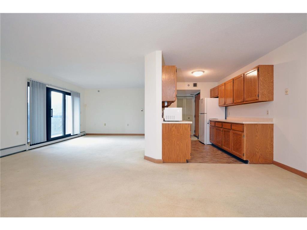 6615 Lake Shore Drive S #603 Richfield MN 55423 6777271 image8