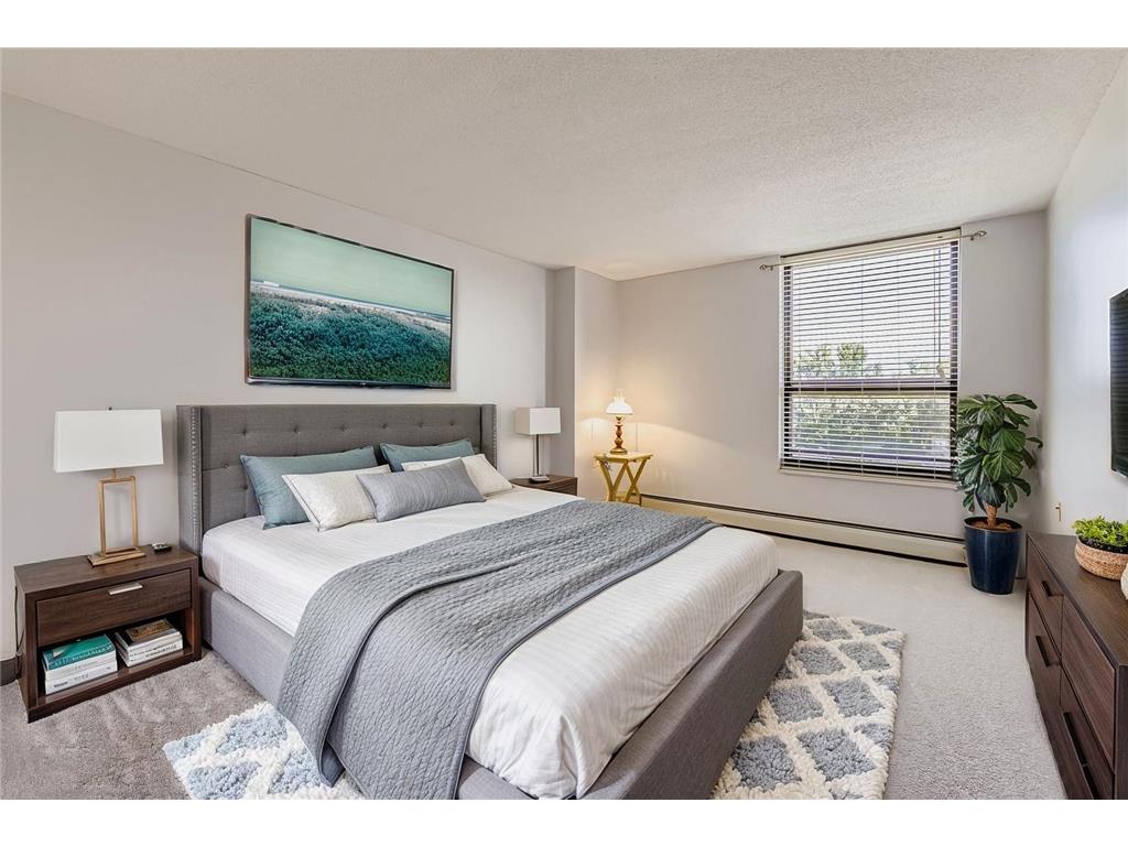 6615 Lake Shore Drive S #604 Richfield MN 55423 6781334 image11