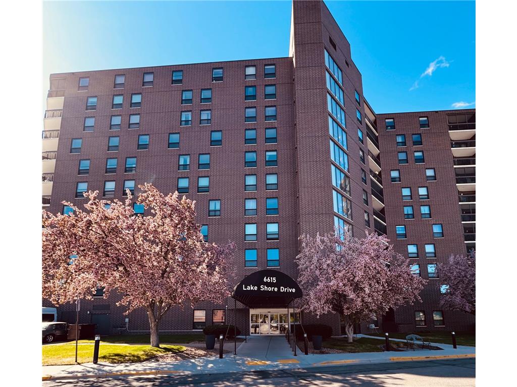 6615 Lake Shore Drive S #803 Richfield MN 55423 7071727 image1