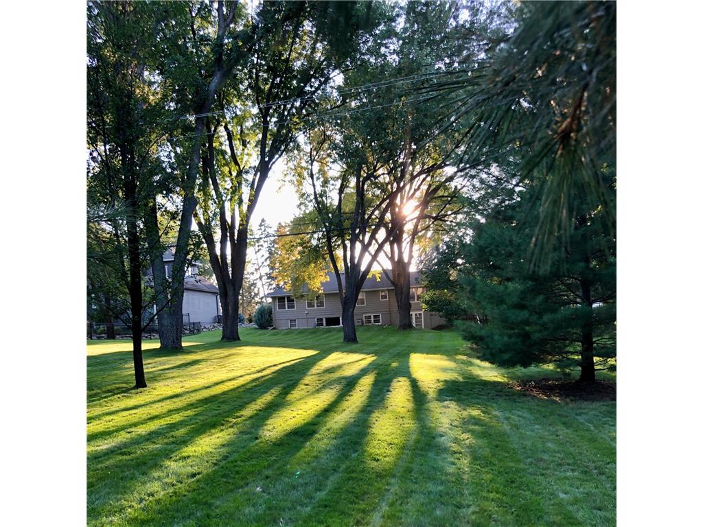 6617 Normandale Road Edina MN 55435 6797981 image5