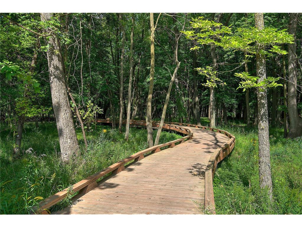 6617 Wolfberry Curve Minnetrista MN 55331 7019293 image21