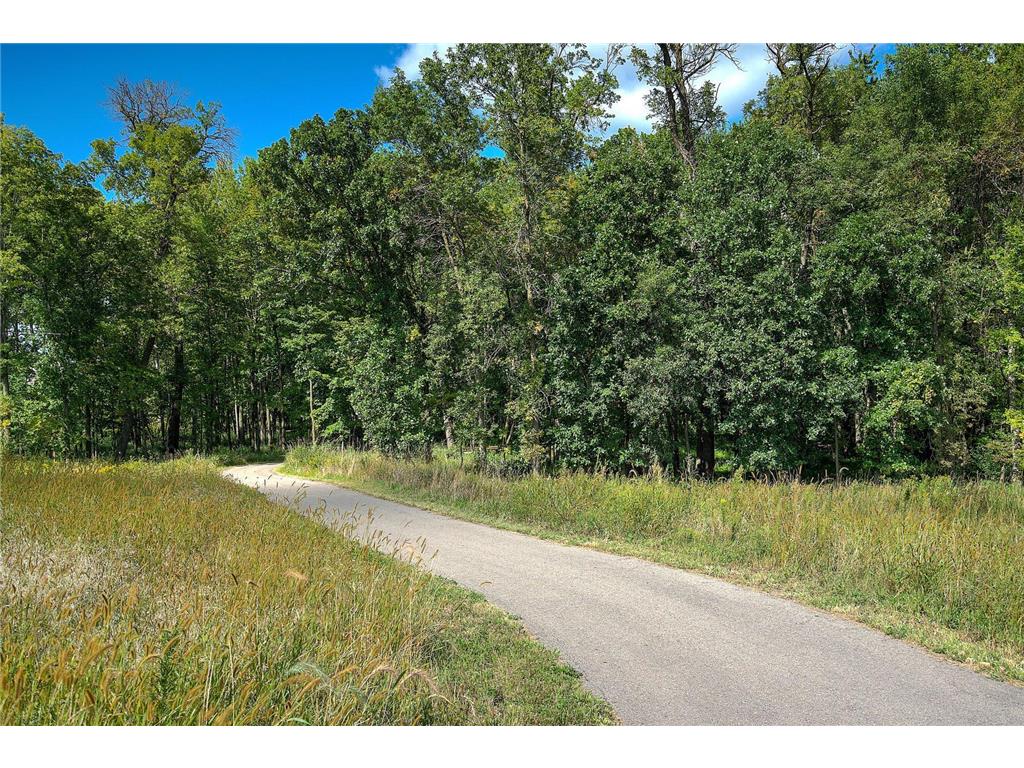 6617 Wolfberry Curve Minnetrista MN 55331 7019293 image25