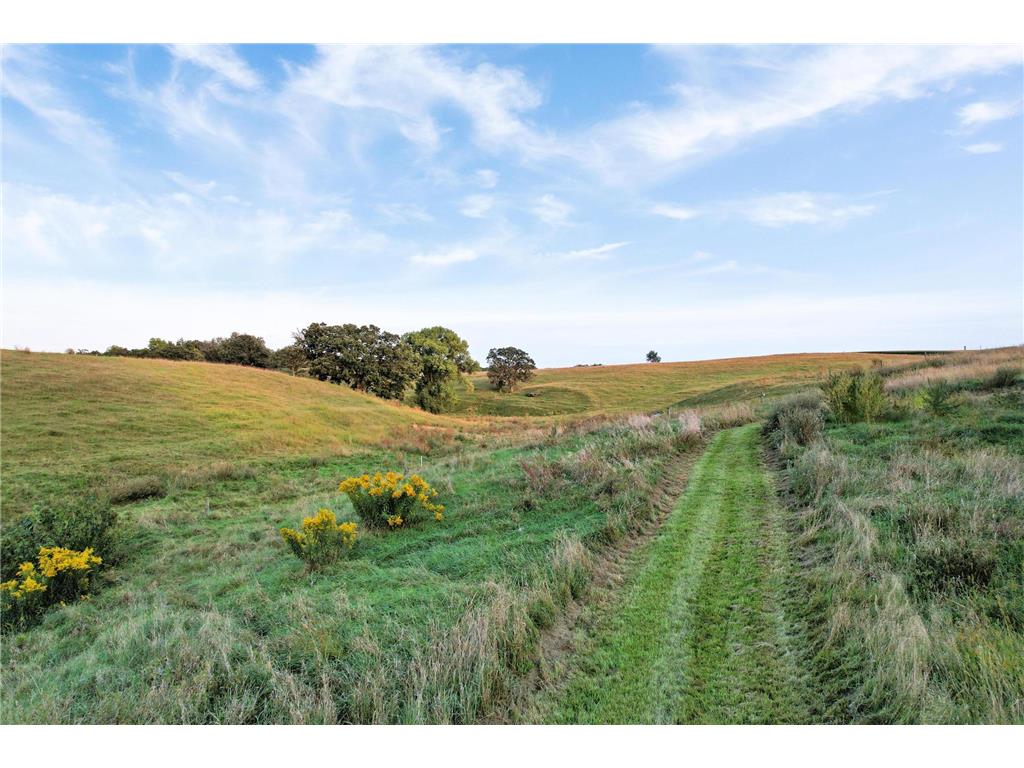 66182 310th Ave Lake City MN 55041 6815727 image65