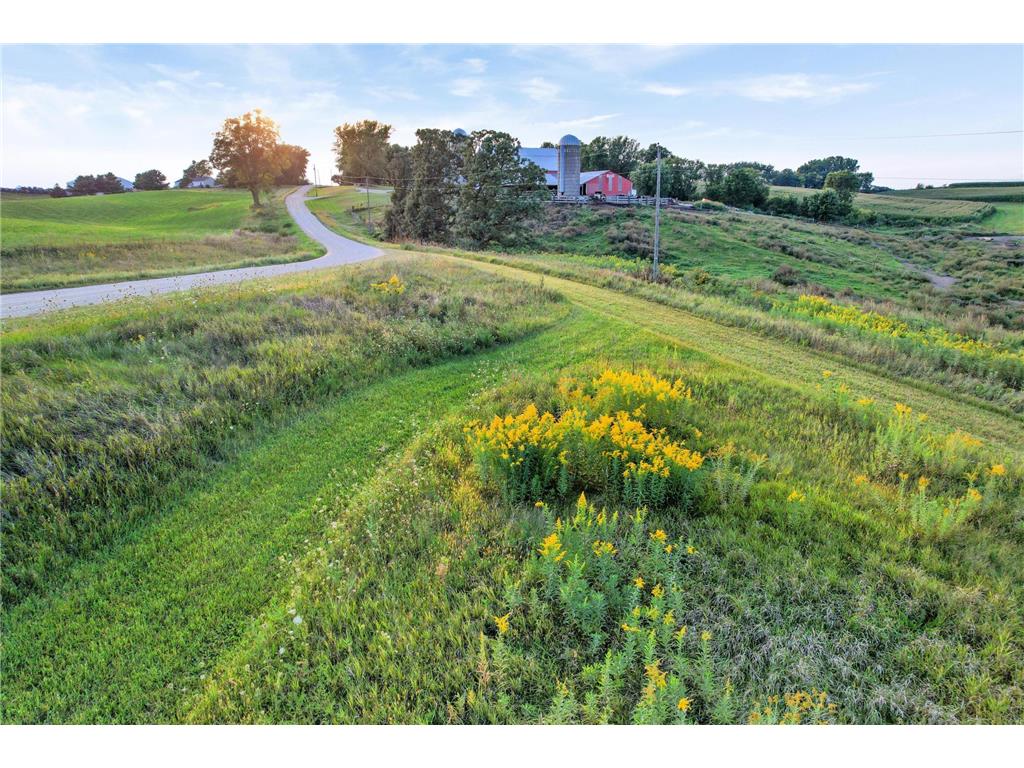 66182 310th Avenue West Albany Twp MN 55041 6815487 image60