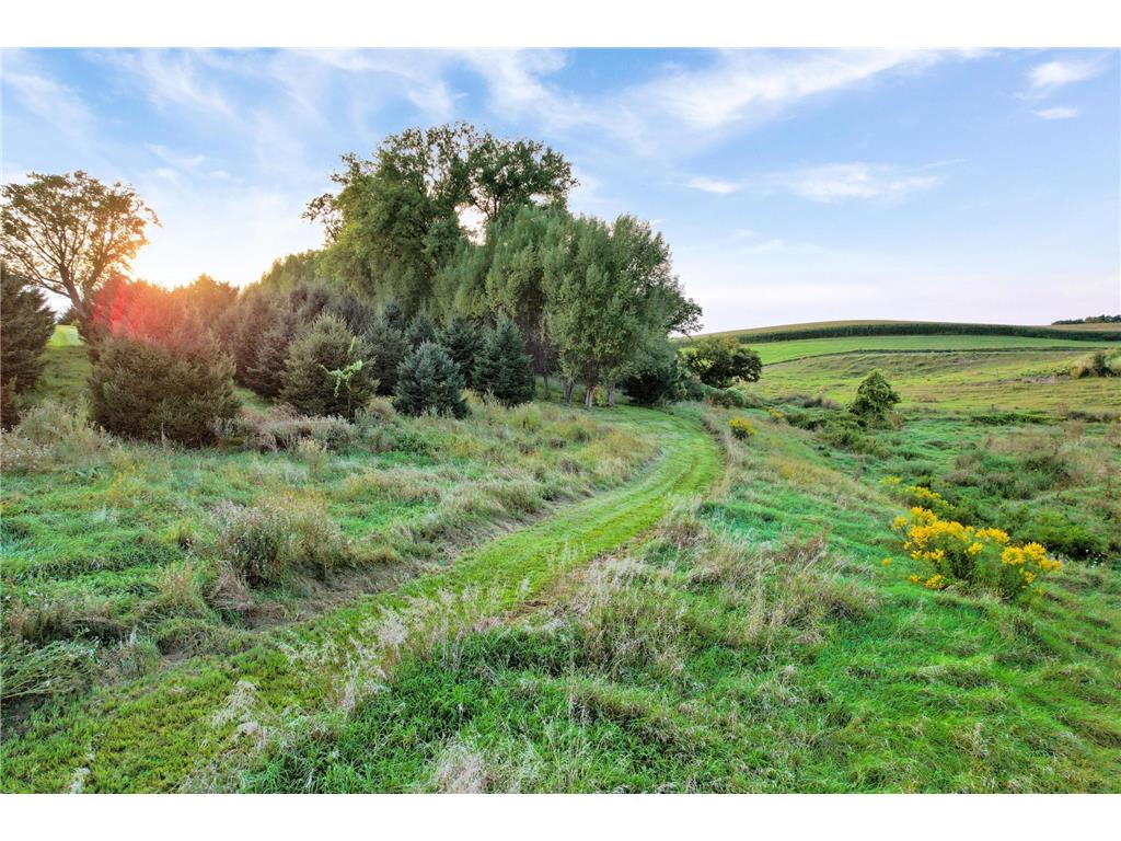 66182 310th Avenue West Albany Twp MN 55041 6815487 image66