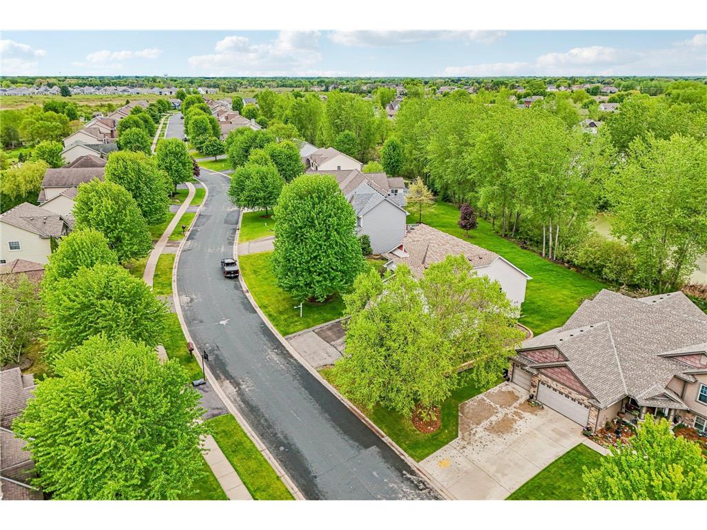 6624 145th Circle N Hugo MN 55038 7083881 image59