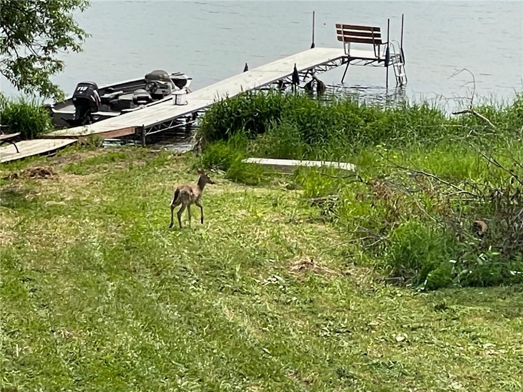 66441 Island Lake Lane Northome MN 56661 - Island Lake 6796895 image5