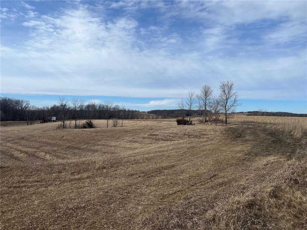 66514 325th Street, Watkins, MN, 55389 MLS 6498282 Edina Realty