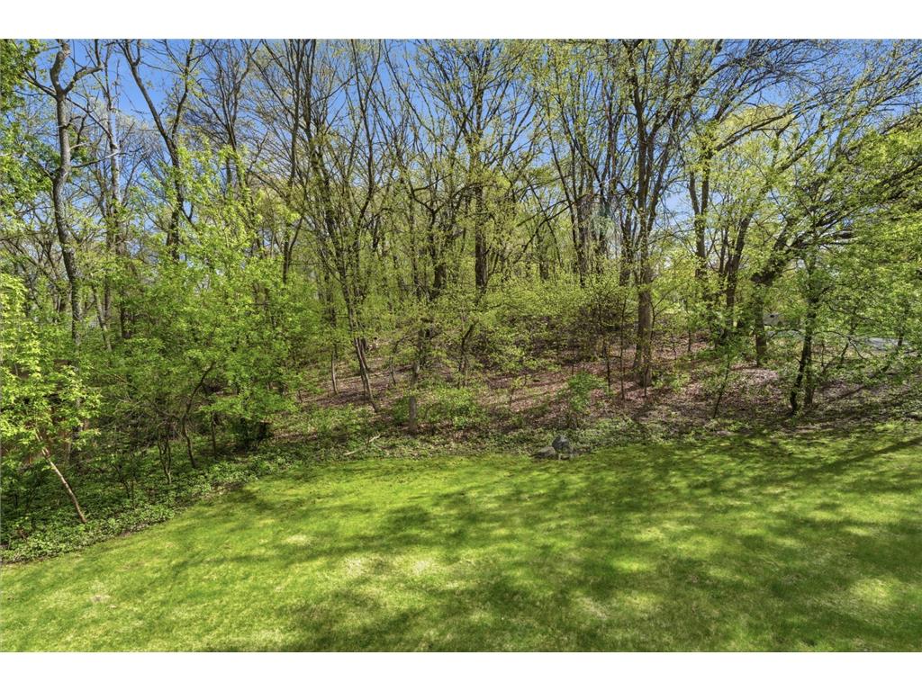 6655 Tanager Lane Eden Prairie MN 55346 7060343 image49