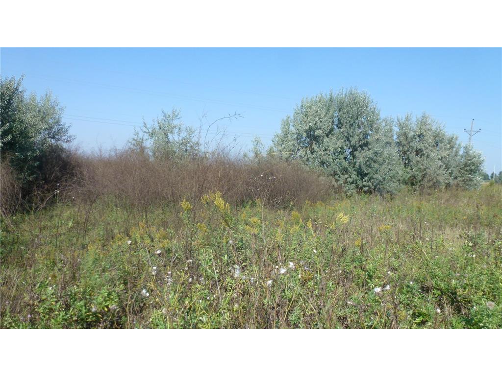 6655 US 10 Highway Glyndon MN 56547 6793842 image10