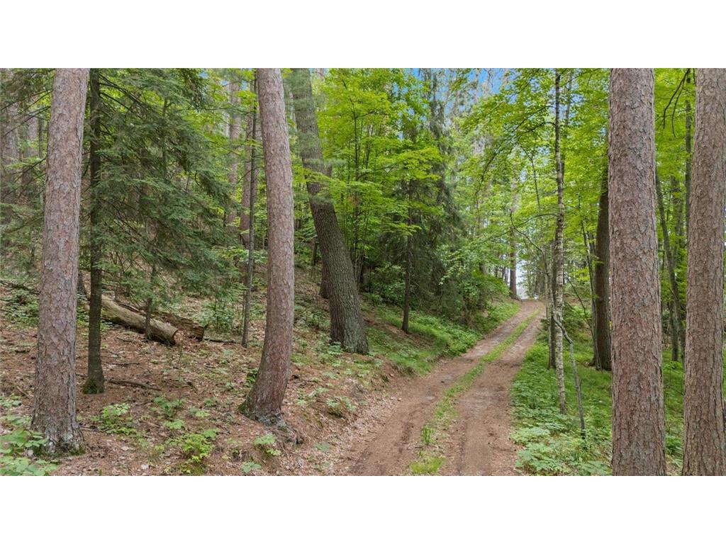 66561 Bayview Road Carpenter Twp MN 56639 - Deer Lake 7070244 image21