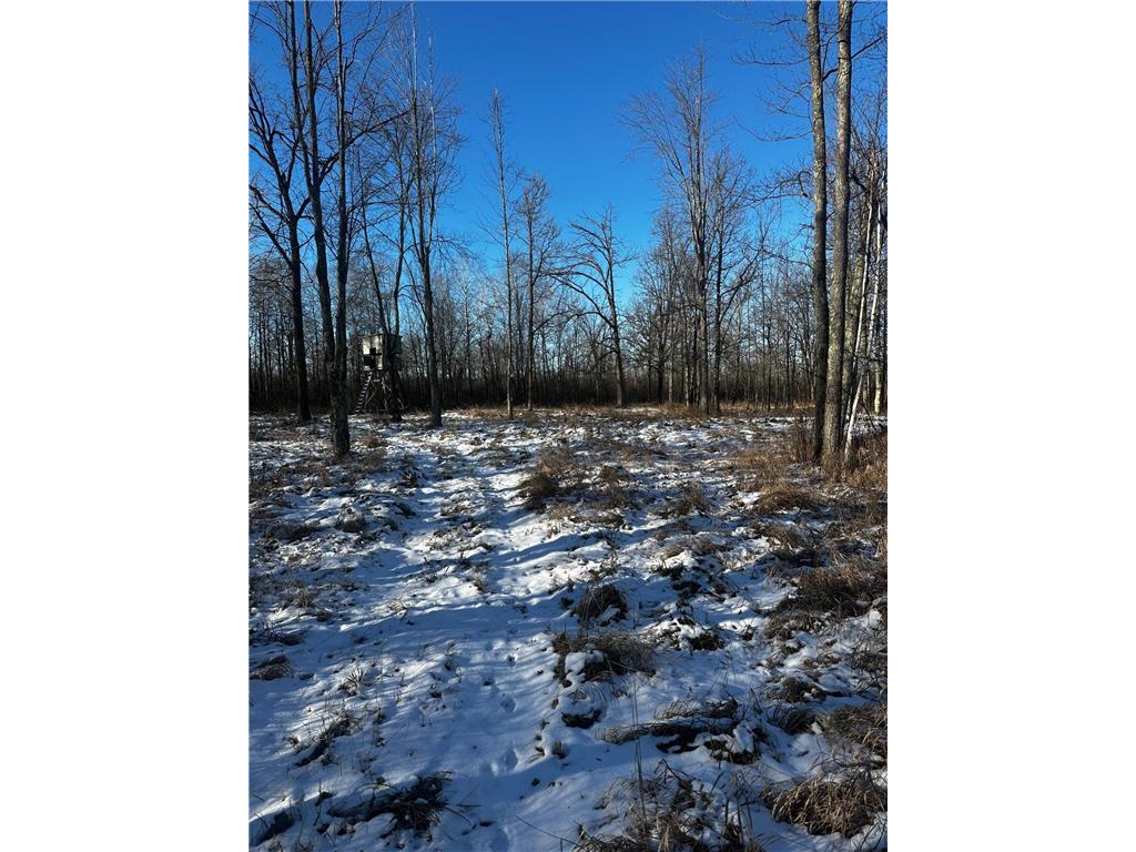 66605 Norway Spruce Road Pine Lake Twp MN 55735 6660072 image26