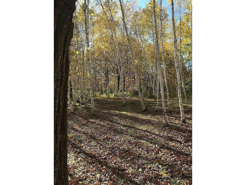 66605 Norway Spruce Road Pine Lake Twp MN 55735 6660072 image30