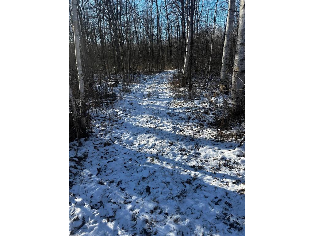 66605 Norway Spruce Road Pine Lake Twp MN 55735 7041769 image26