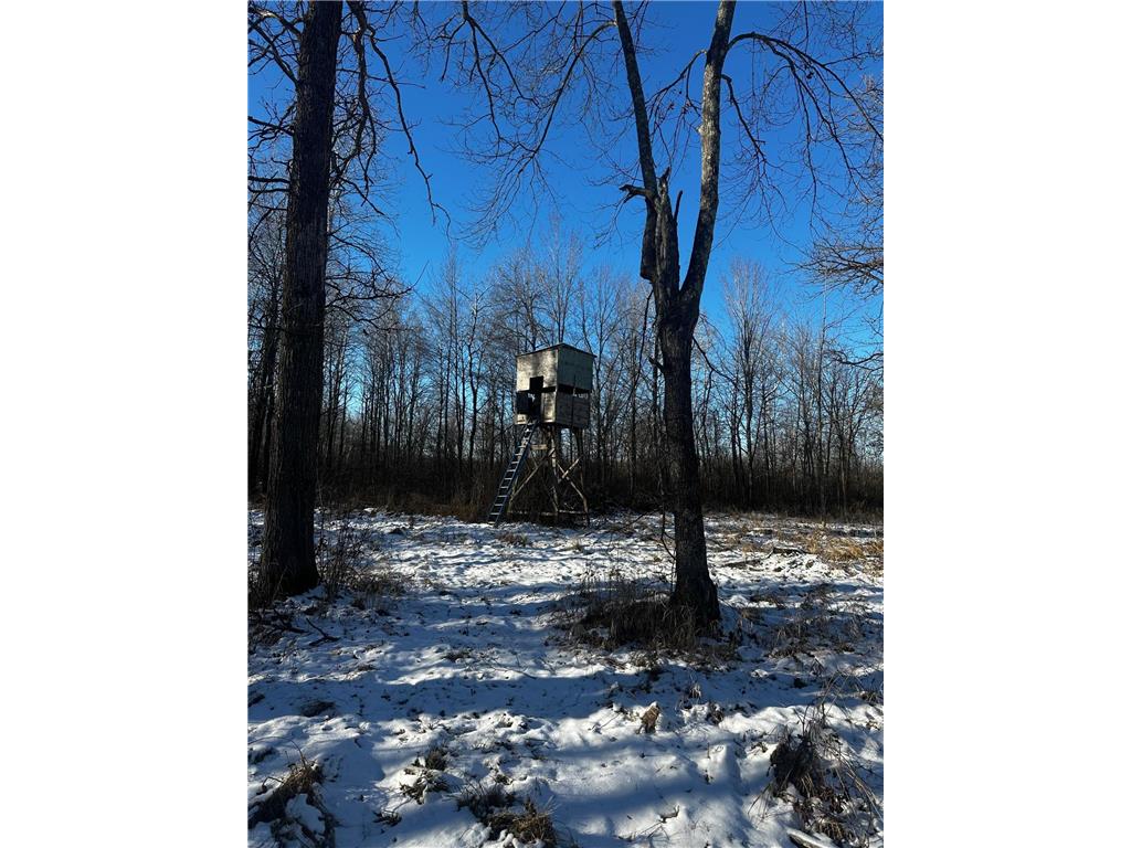 66605 Norway Spruce Road Pine Lake Twp MN 55735 7041769 image28