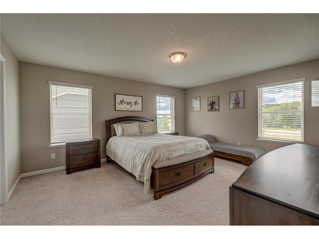 6664 Jareau Court S Cottage Grove MN 55016 7096163 image7