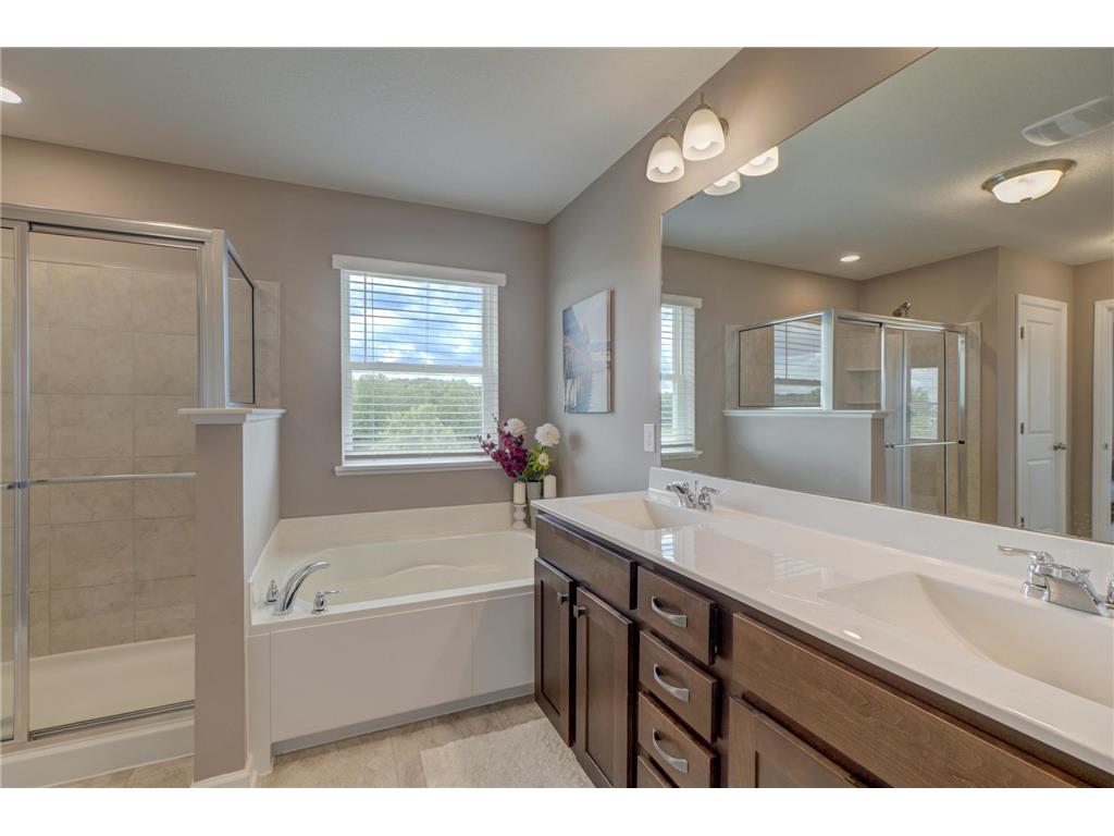 6664 Jareau Court S Cottage Grove MN 55016 7096163 image8
