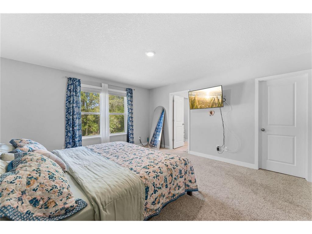 6670 Pine Arbor Boulevard S Cottage Grove MN 55016 7072660 image19
