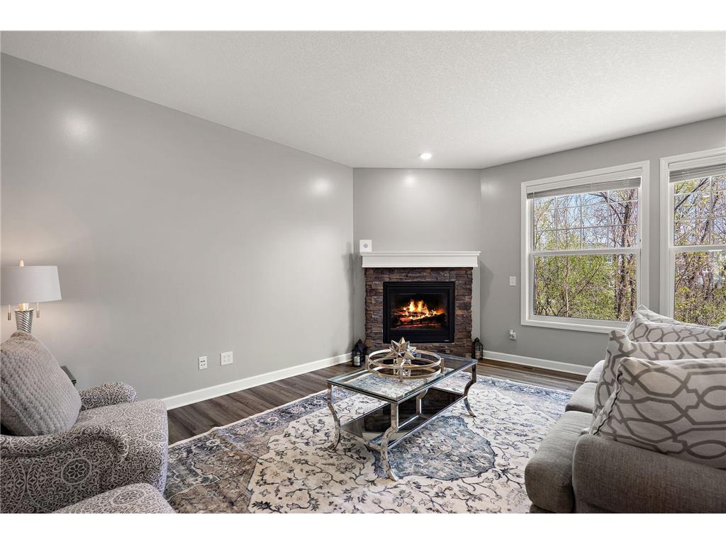 6674 Annabelle Court Corcoran MN 55340 7029091 image10
