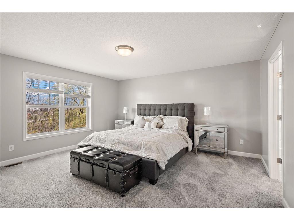 6674 Annabelle Court Corcoran MN 55340 7029091 image19