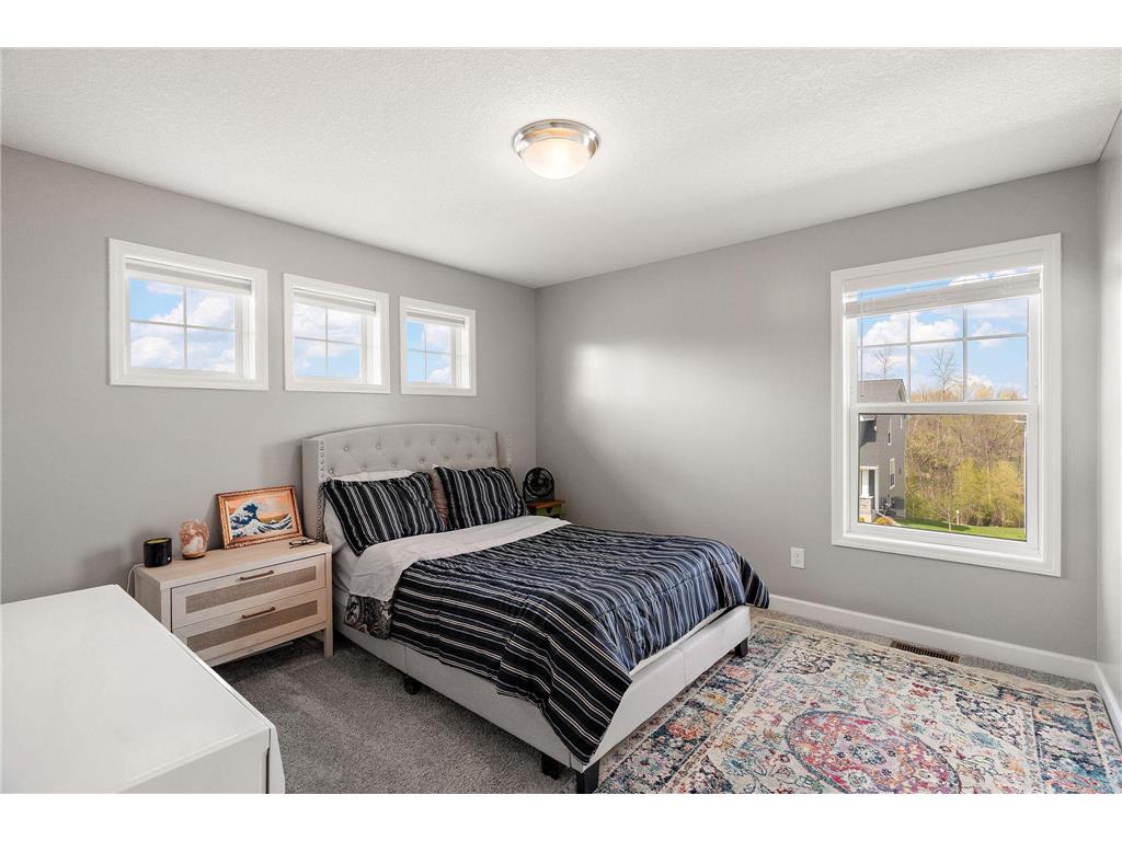 6674 Annabelle Court Corcoran MN 55340 7029091 image23